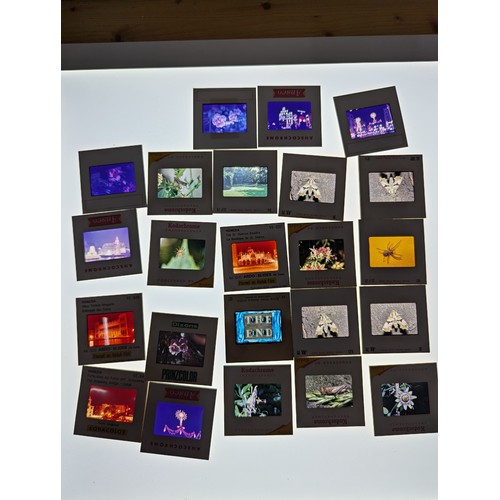 694 - Collection of photographic slides in two cases, inc. flora, fauna and landscapes, world places