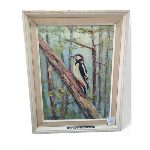 18 - Peter Oliver, oil on board of a woodpecker, signed lower left, framed 38 x 48cm