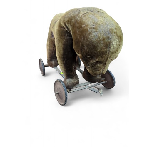 441 - Vintage pull-along bear on wheels. In need of repair and a loving home. L65cm H52cm.