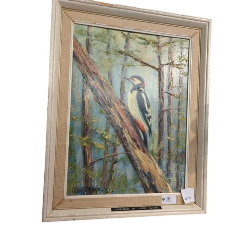 18 - Peter Oliver, oil on board of a woodpecker, signed lower left, framed 38 x 48cm