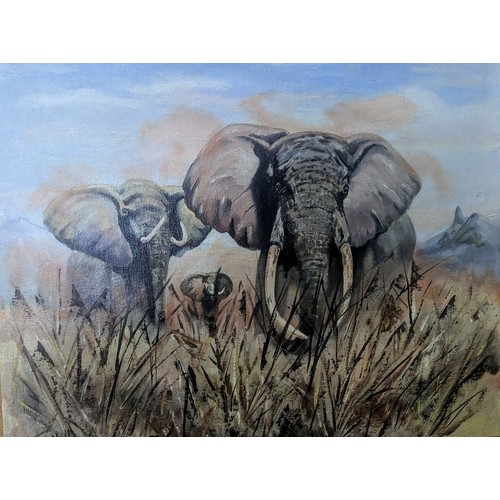 39A - Oil on board of a group of elephants, signed J. McNeill, framed 67 x 58cm