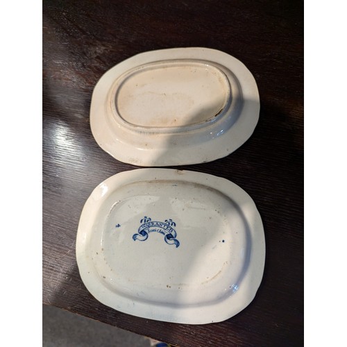 895 - Assorted blue and white meat plates including one with tree and well 9 in total