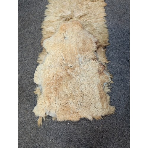 282 - Selection of 3 sheepskin rugs + another.