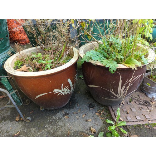 751 - 2x large brown glazed planters & contents. H40cm (of pot)