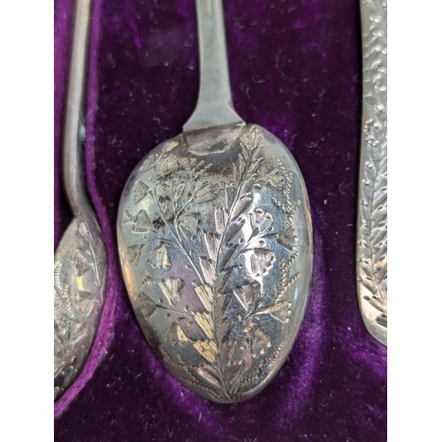 385 - Cased set of six Late Victorian silver coffee spoons and a pair of sugar nips, Sibray, Hall & Co... 