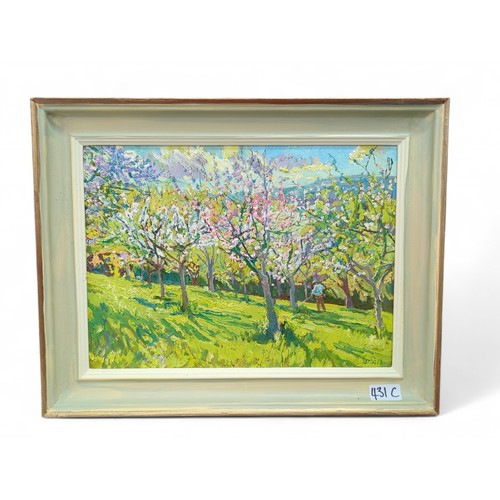 431C - Mary Martin (Cornish b.1951) oil on board titled 'Apple Trees Blossoming in our Orchard', signed low... 