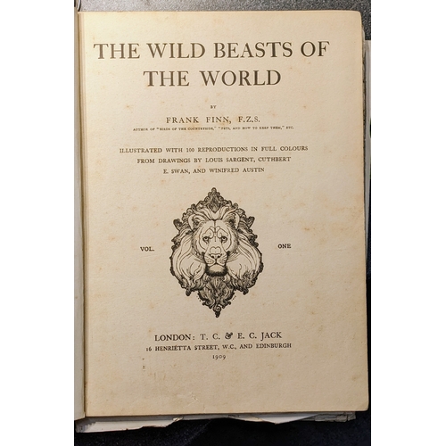 665 - The Wild Beasts of the World Vol. I, pub. T.C & E.C Jack, 1909, superbly illustrated with 1... 