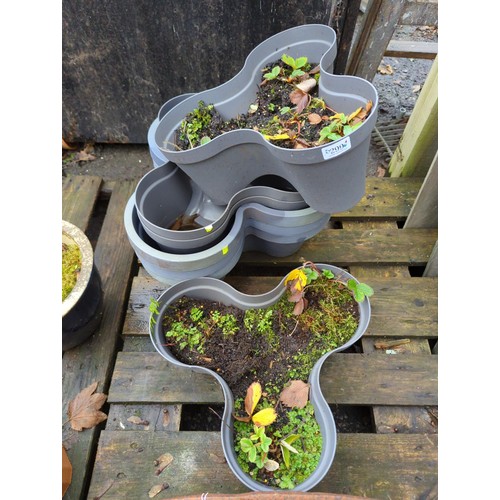 299 - 6x clover shaped plastic plant pots