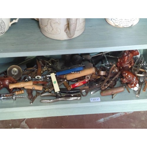 197 - Bottom shelf of mostly bottle openers, plus nut crackers etc