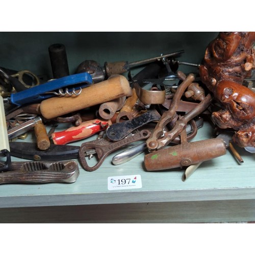 197 - Bottom shelf of mostly bottle openers, plus nut crackers etc