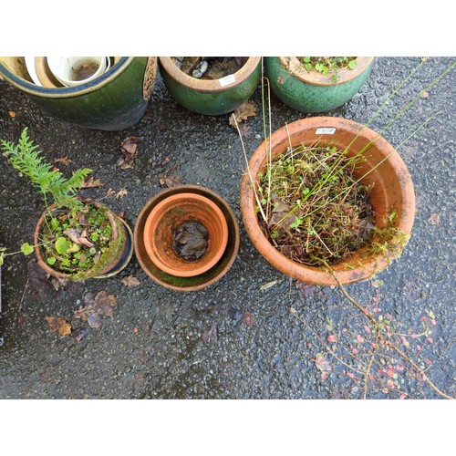 377 - Various outdoor plant pots