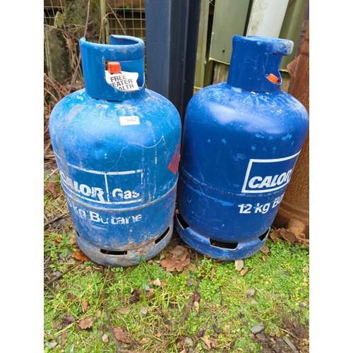 368 - 2 x empty 12kg butane gas bottles