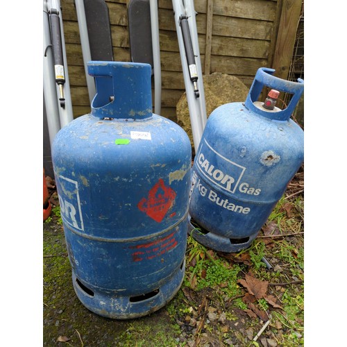 369 - 2 x empty 12kg butane gas bottles