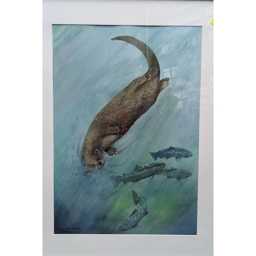 257 - Robin Armstrong, original watercolour of a swimming otter, signed lower left, framed 60 x 78cm.