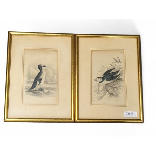 244 - Five various framed 19th century ornithological coloured prints, largest including frame 31 x 28cm.