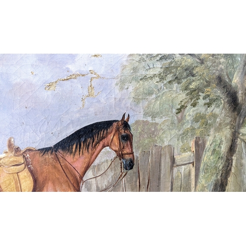 265 - C19th oil study of a bay horse, unsigned, framed 79.5 x 67cm. With several areas of damage and wear ... 