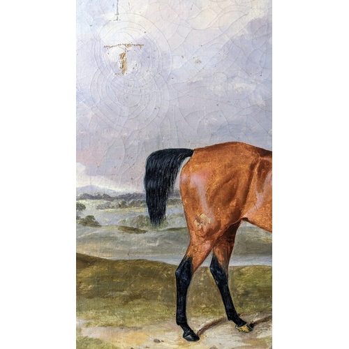 265 - C19th oil study of a bay horse, unsigned, framed 79.5 x 67cm. With several areas of damage and wear ... 