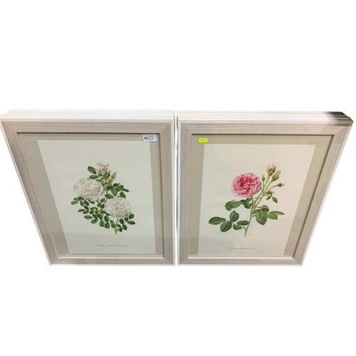 623 - Eight framed botanical prints of roses by Anne Marie Trechslin, framed 47.5 x 58cm