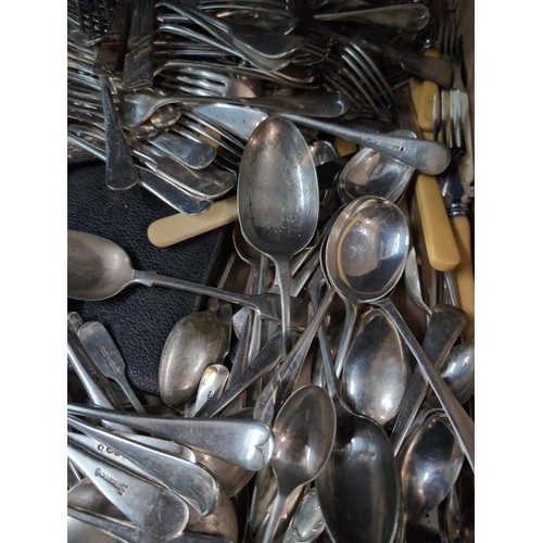 1203 - Large tray of plated flatware