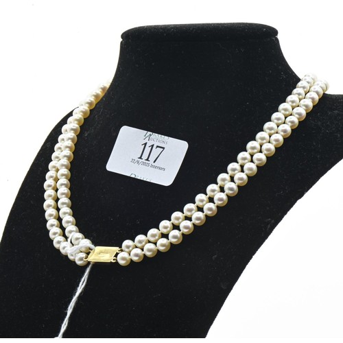 Lot 117       