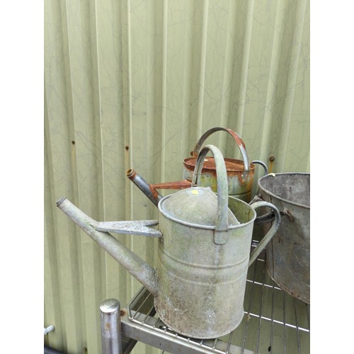 121 - 2 x galvanised watering cans + 3 x galvanised buckets.&nbsp;