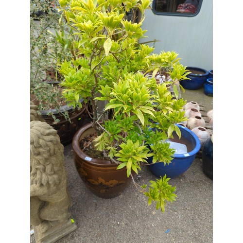 Lot 2         