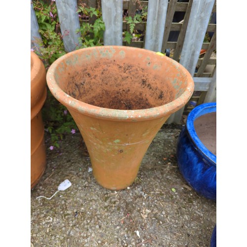 Lot 36        