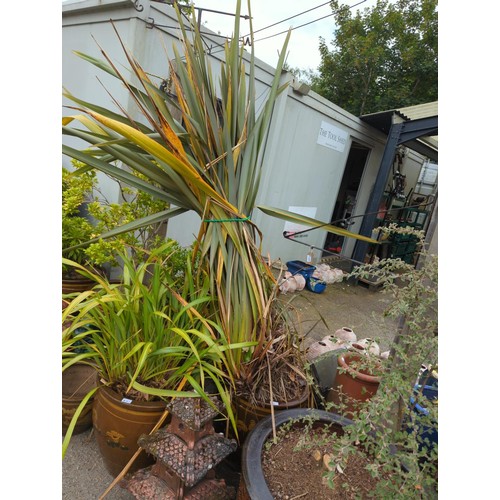 Lot 4         