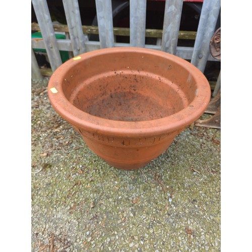 Lot 50        