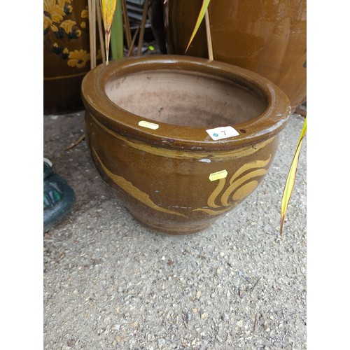 Lot 7         