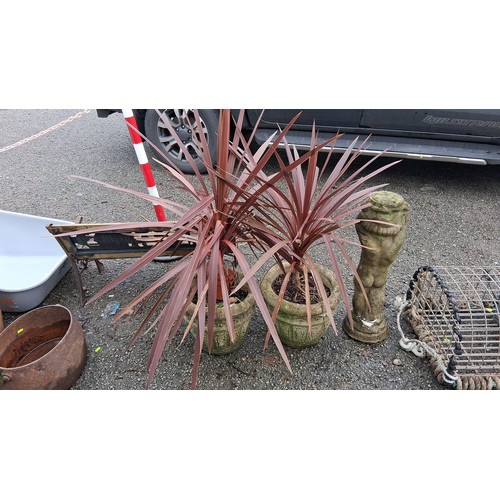 A pair of foliate relief planters with cordyline plants. Moulded decoration throughout.