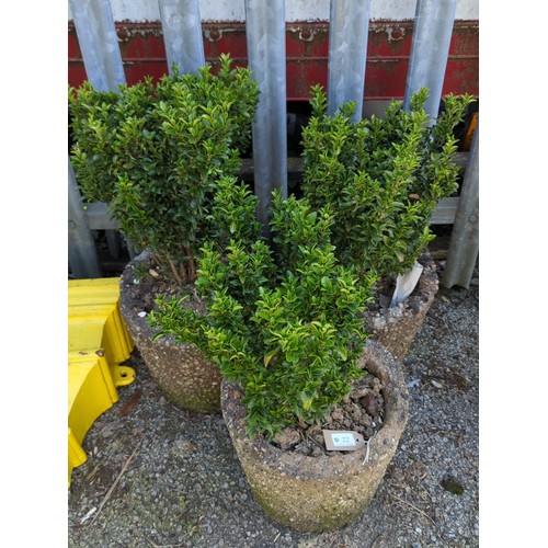 22 - A group of 3 planted pebble-dashed concrete garden planters, each of tapering cylindrical form, cont... 