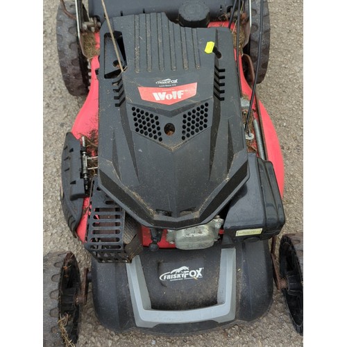 117 - Frisky Fox Lawn Racer 510 petrol lawn mower, powered by a Wolf engine.