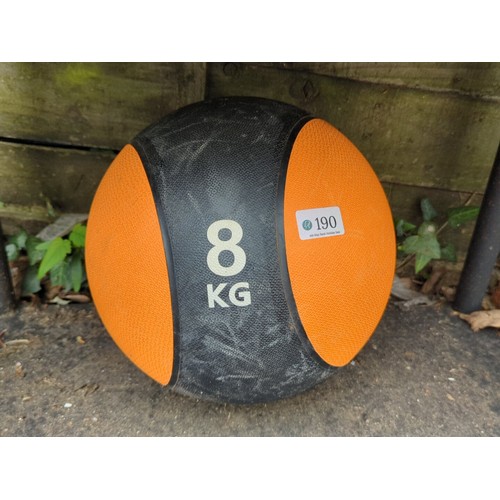 190 - An 8 kg medicine ball.