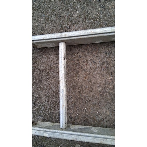 217 - Aluminium straight ladder.