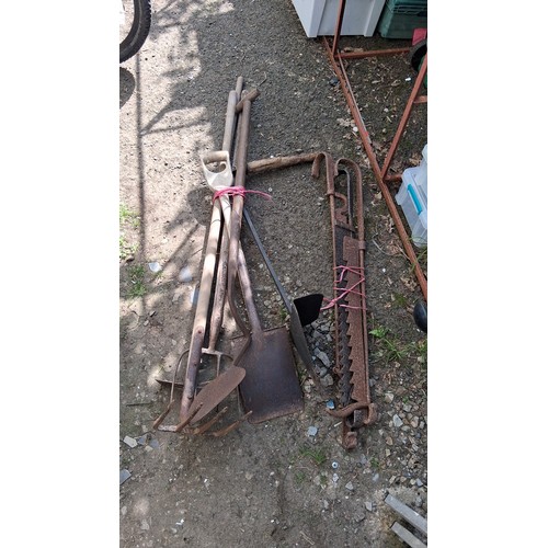 199 - A quantity of garden tools including long-handled implements comprising spades, forks, and digging t... 