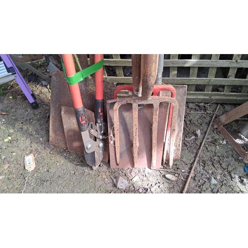 230 - A quantity of garden tools including spades, shovels, forks and loppers.
