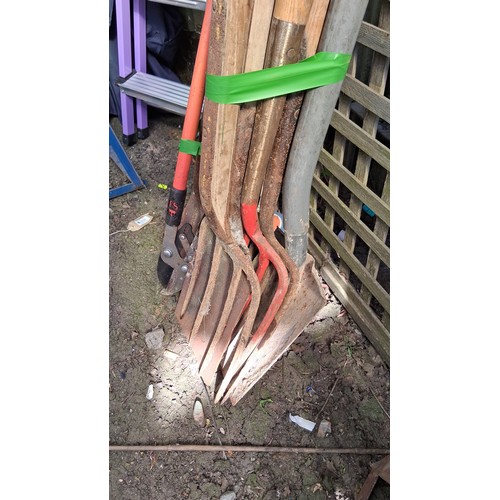 230 - A quantity of garden tools including spades, shovels, forks and loppers.