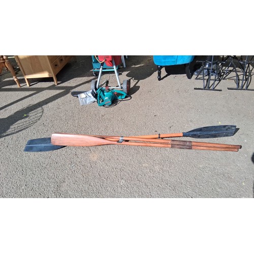Lot 231       