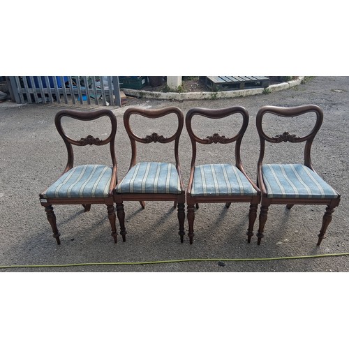 Lot 296       