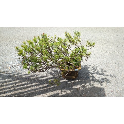 Lot 58        