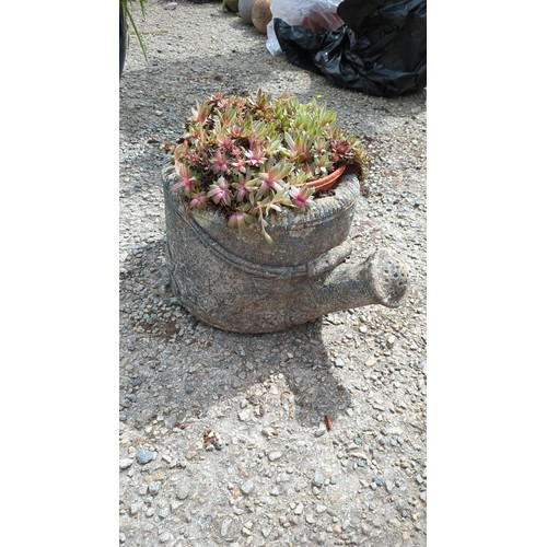 85 - Concrete garden planter modelled as a watering can, with succulent contents.