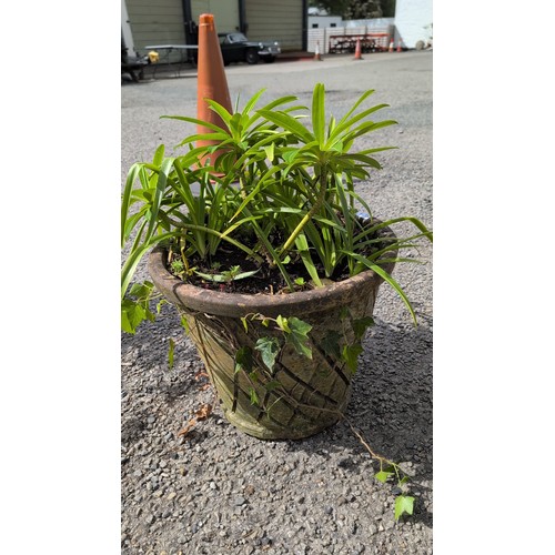 84a - Large cast-stone garden urn planter of flared cylindrical form with rolled rim, the body modelled in... 