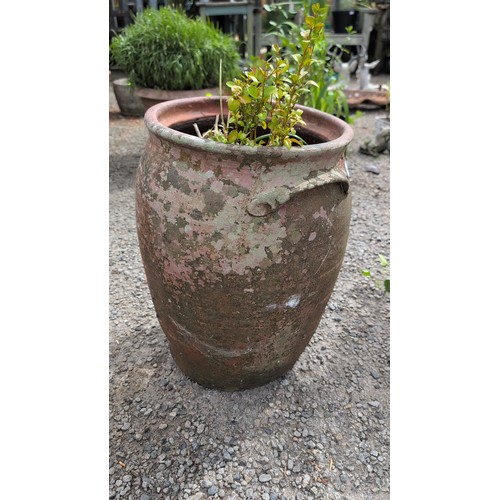 84b - Large terracotta jardinière of ovoid form with rolled rim, the shoulder applied with lugs and a proj... 
