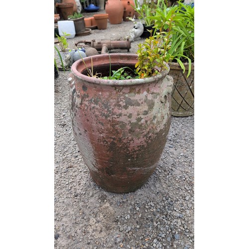 84b - Large terracotta jardinière of ovoid form with rolled rim, the shoulder applied with lugs and a proj... 