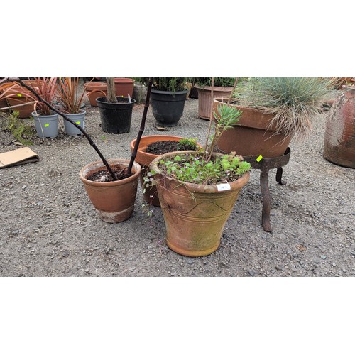 84c - A group of terracotta garden planters of tapering cylindrical form, including a slip-decorated examp... 