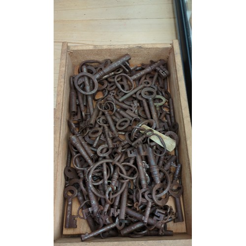 A quantity of iron skeleton keys of varying sizes, with circular and ...