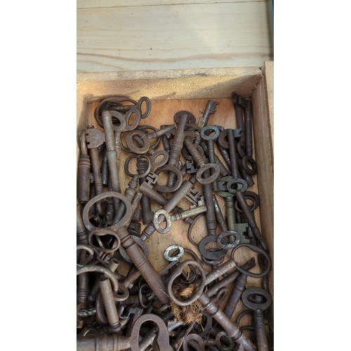 A quantity of iron skeleton keys of varying sizes, with circular and ...