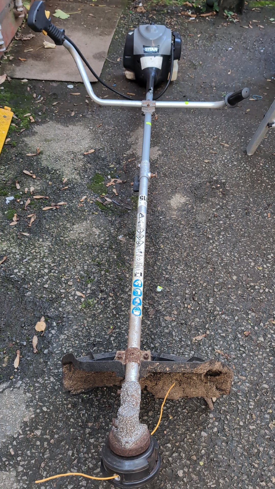 Lot 606