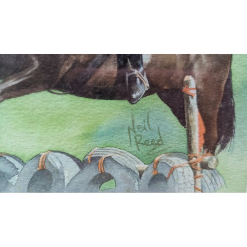 Neil Reed, two framed equestrian watercolour illustrations, both signed ...